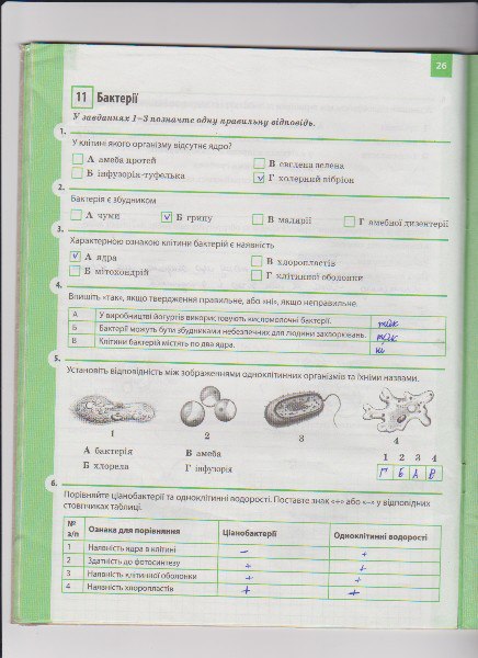 Робочий зошит з біології 6 клас Задорожний К.М. Страница 26