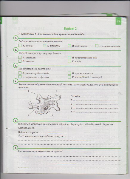 Робочий зошит з біології 6 клас Задорожний К.М. Страница 31