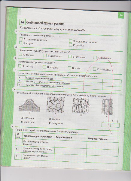 Робочий зошит з біології 6 клас Задорожний К.М. Страница 34