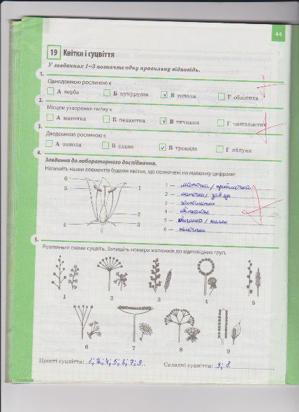 Робочий зошит з біології 6 клас Задорожний К.М. Страница 44
