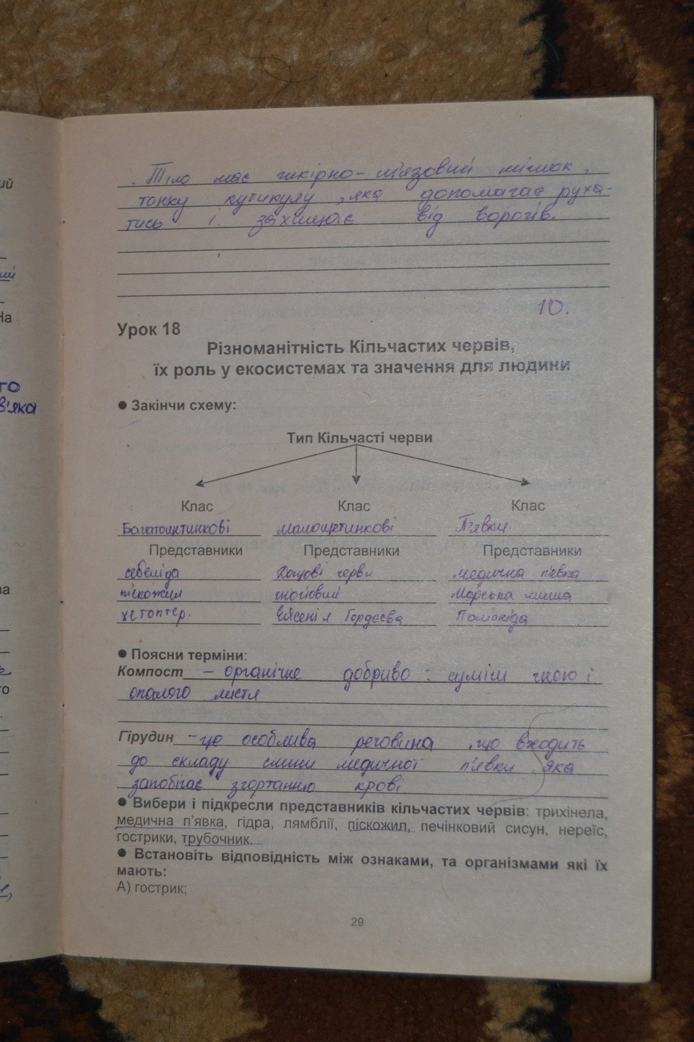 Робочий зошит з біології 8 клас Примак Н.В., Опаренюк Г.А. Страница 29