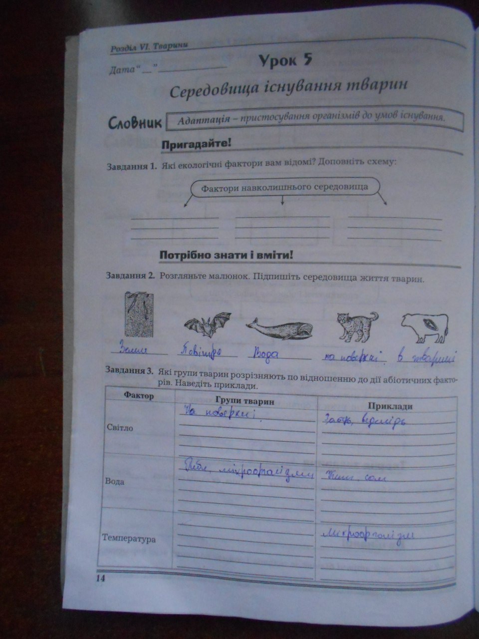 Робочий зошит з біології 8 клас Мирна Л.А., Бітюк М.Ю., Віркун В.О., Турчин О.В. Страница 14
