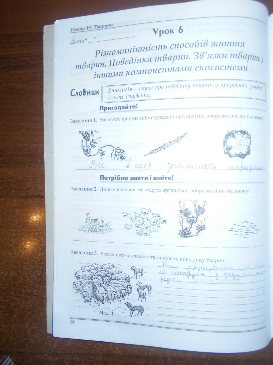 Робочий зошит з біології 8 клас Мирна Л.А., Бітюк М.Ю., Віркун В.О., Турчин О.В. Страница 16