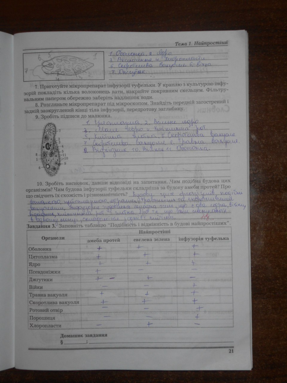 Робочий зошит з біології 8 клас Мирна Л.А., Бітюк М.Ю., Віркун В.О., Турчин О.В. Страница 21