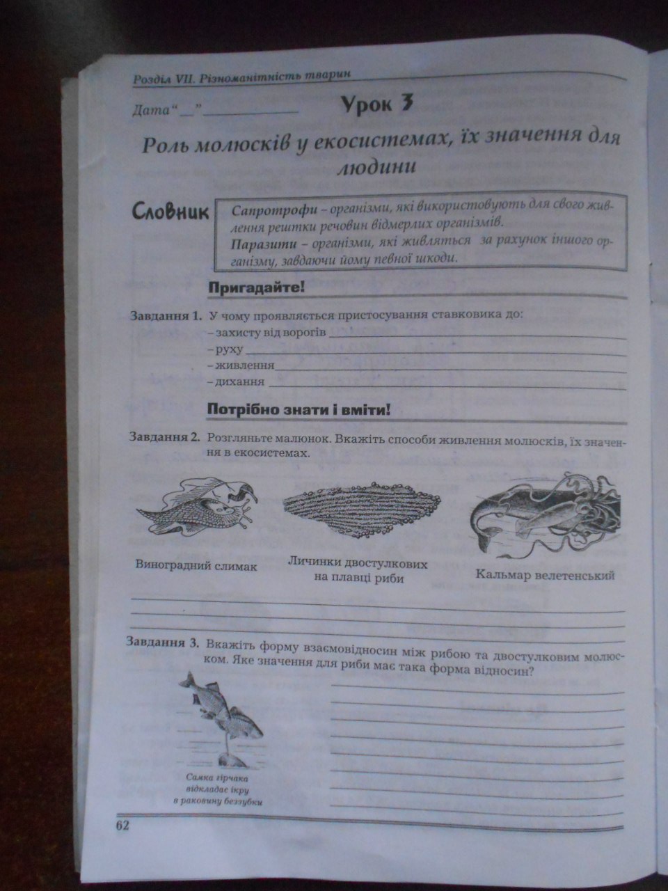 Робочий зошит з біології 8 клас Мирна Л.А., Бітюк М.Ю., Віркун В.О., Турчин О.В. Страница 62