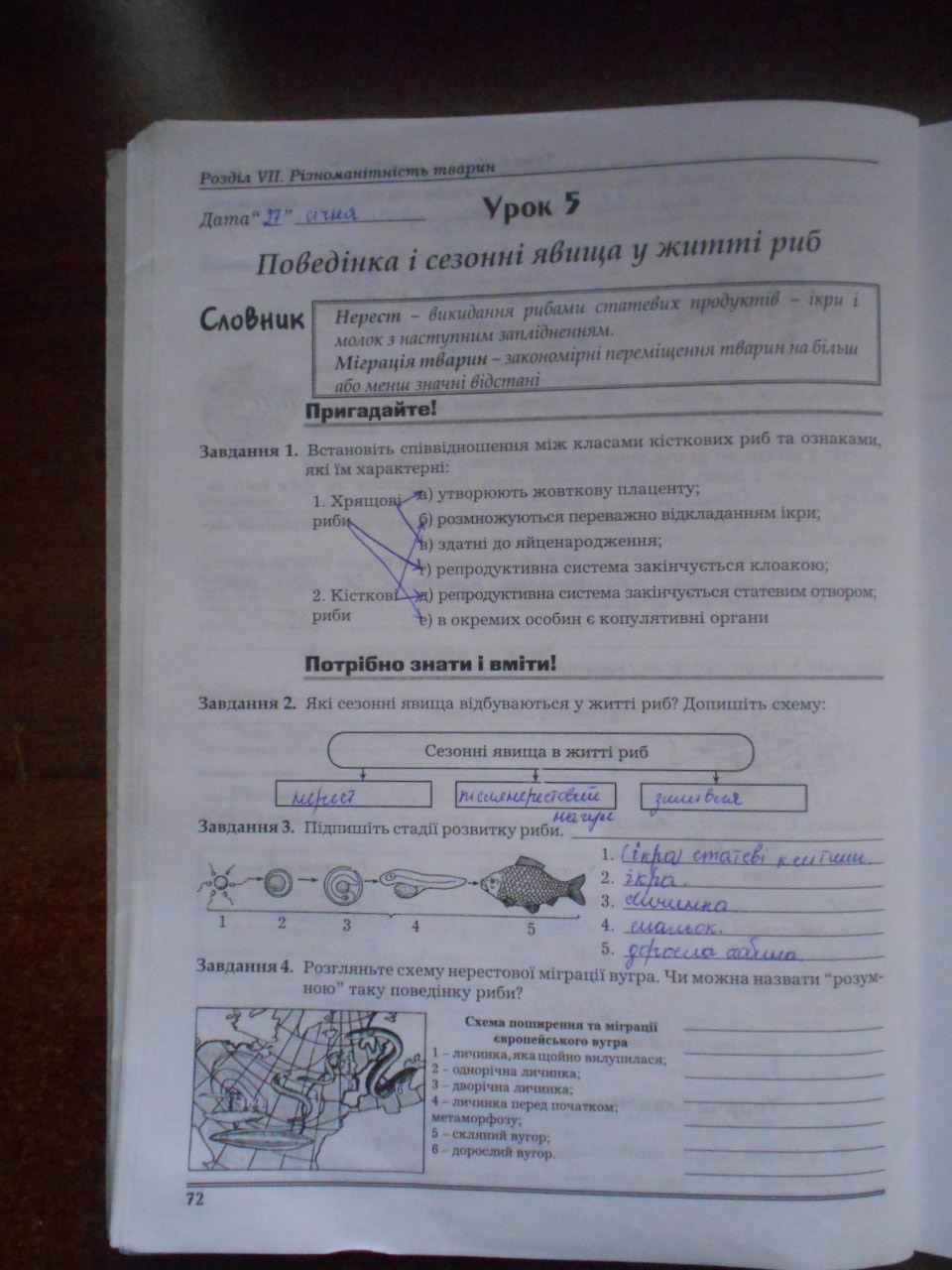 Робочий зошит з біології 8 клас Мирна Л.А., Бітюк М.Ю., Віркун В.О., Турчин О.В. Страница 72