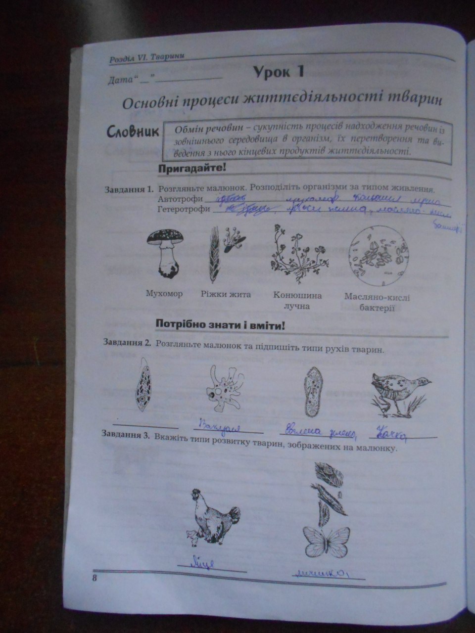 Робочий зошит з біології 8 клас Мирна Л.А., Бітюк М.Ю., Віркун В.О., Турчин О.В. Страница 8