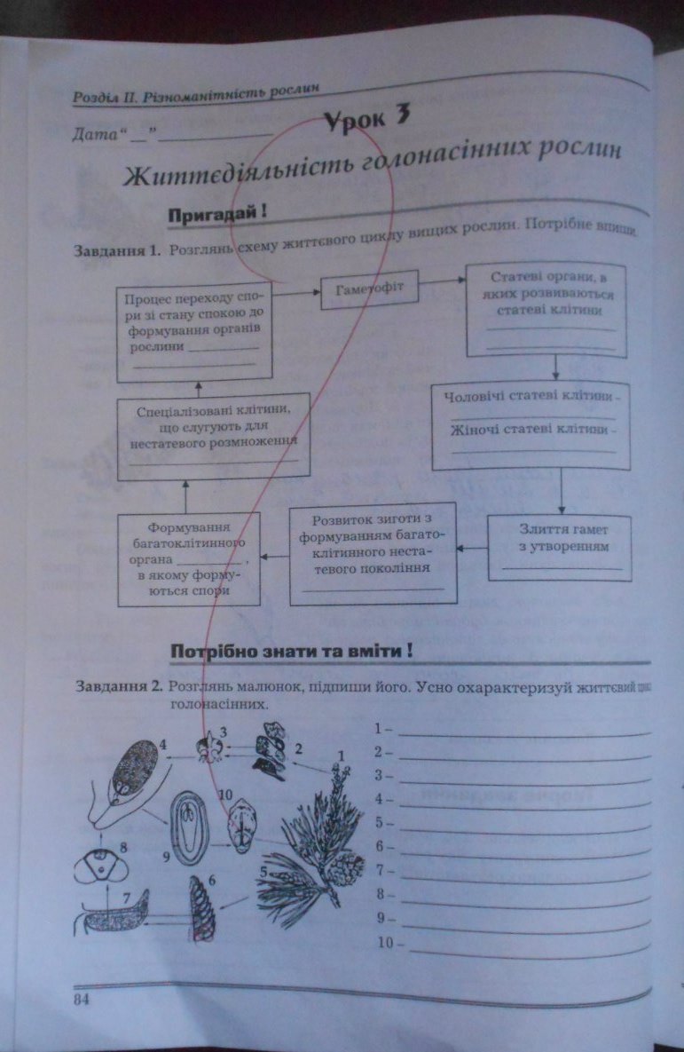 Робочий зошит з біології 7 клас Мирна Л.А., Бітюк М.Ю., Віркун В.О., Яценко С.П. Страница 84