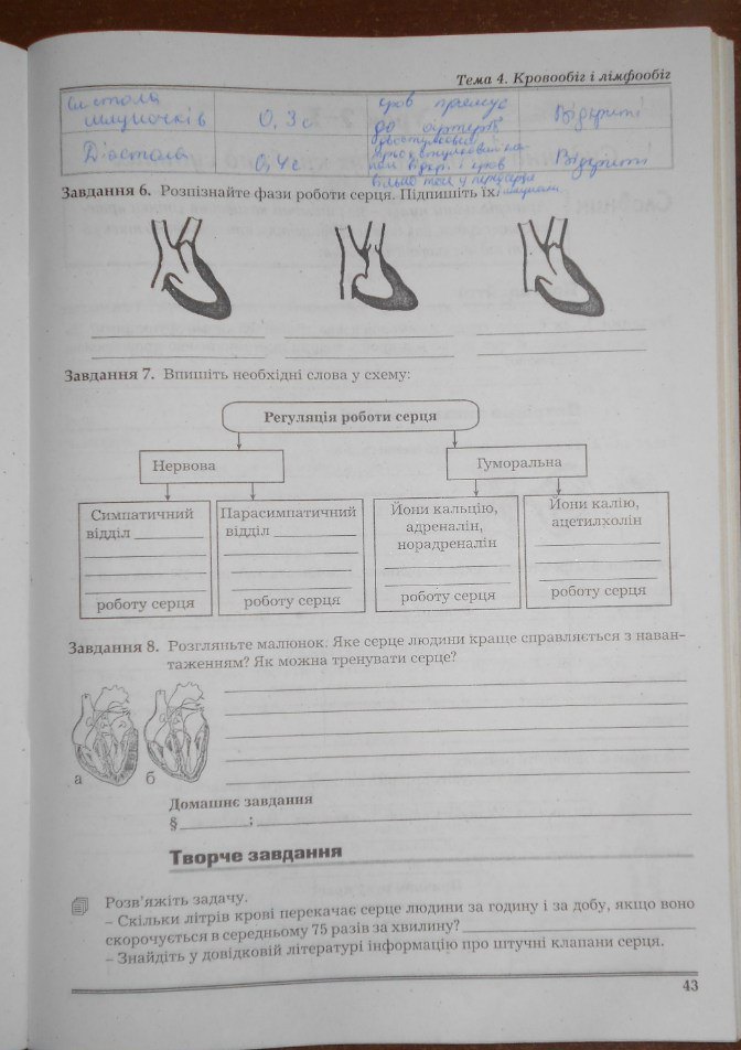 Робочий зошит з біології. 9 клас. Частина 1, 2 Мирна Л.А., Бітюк М.Ю., Віркун В.О. Страница 43