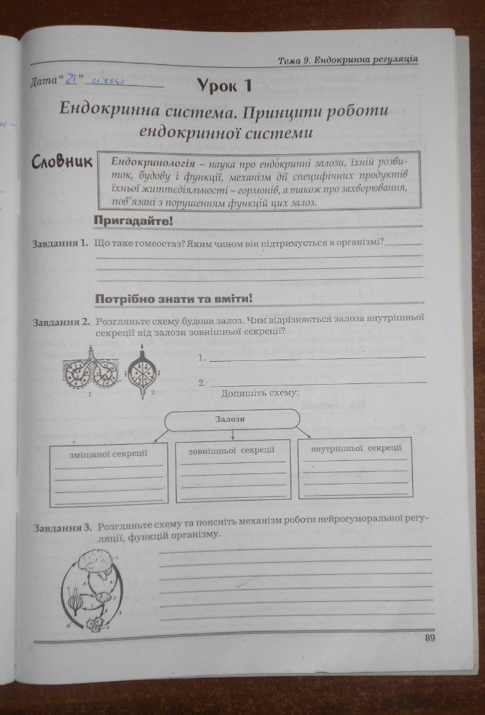 Робочий зошит з біології. 9 клас. Частина 1, 2 Мирна Л.А., Бітюк М.Ю., Віркун В.О. Страница 89