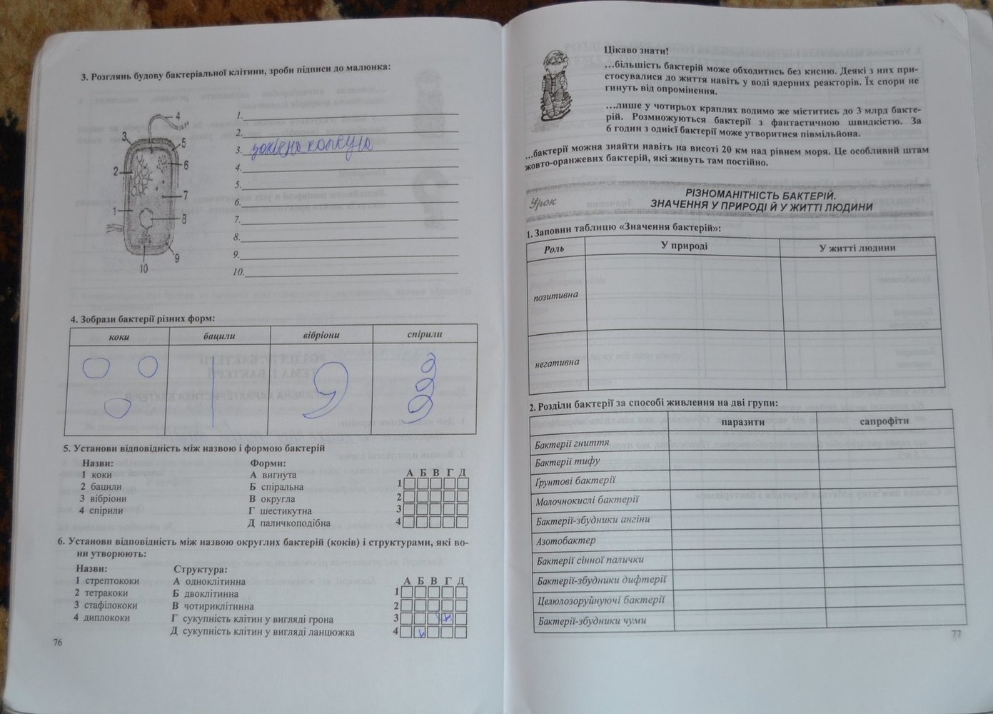 Робочий зошит з біології 7 клас Г. Пашко, А. Маркевич, О. Литвин Страница 77