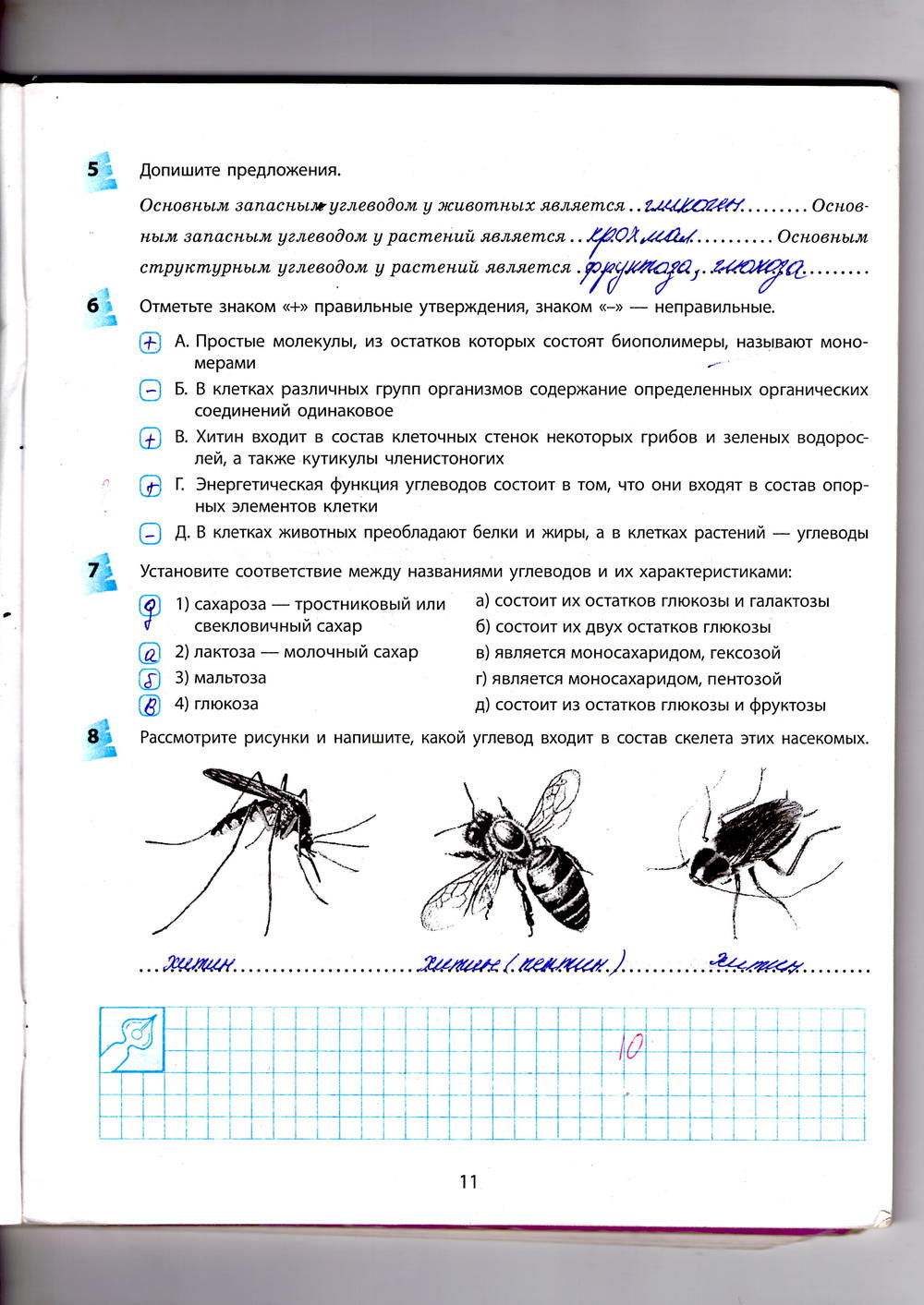 Рабочая тетрадь по биологии 10 класс  Котик Таглина  Страница 11