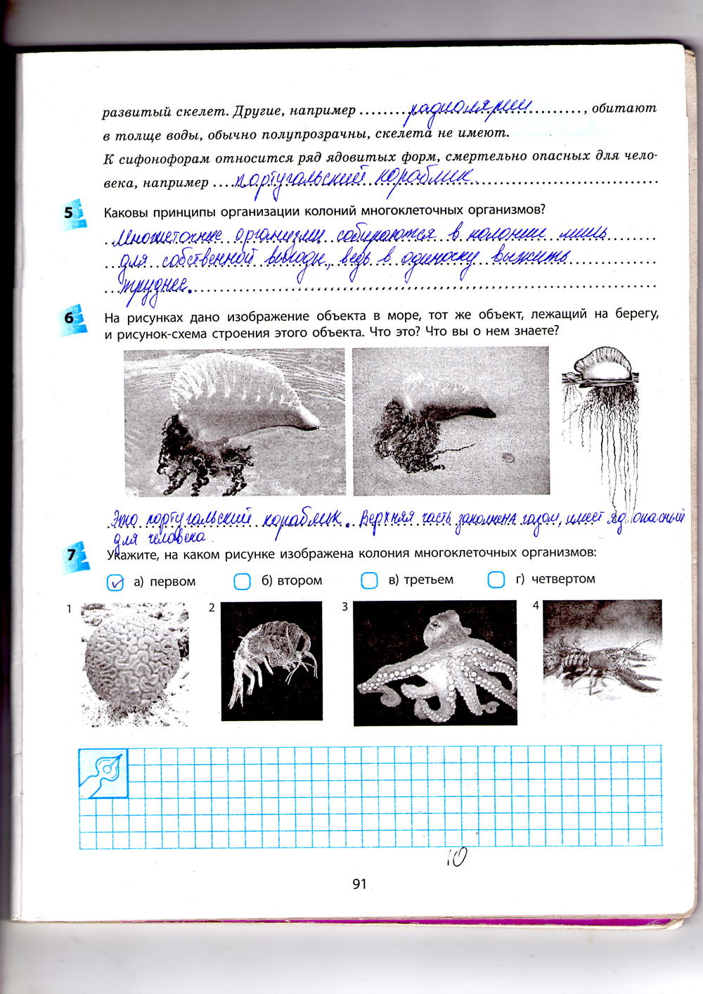 Рабочая тетрадь по биологии 10 класс  Котик Таглина  Страница 91