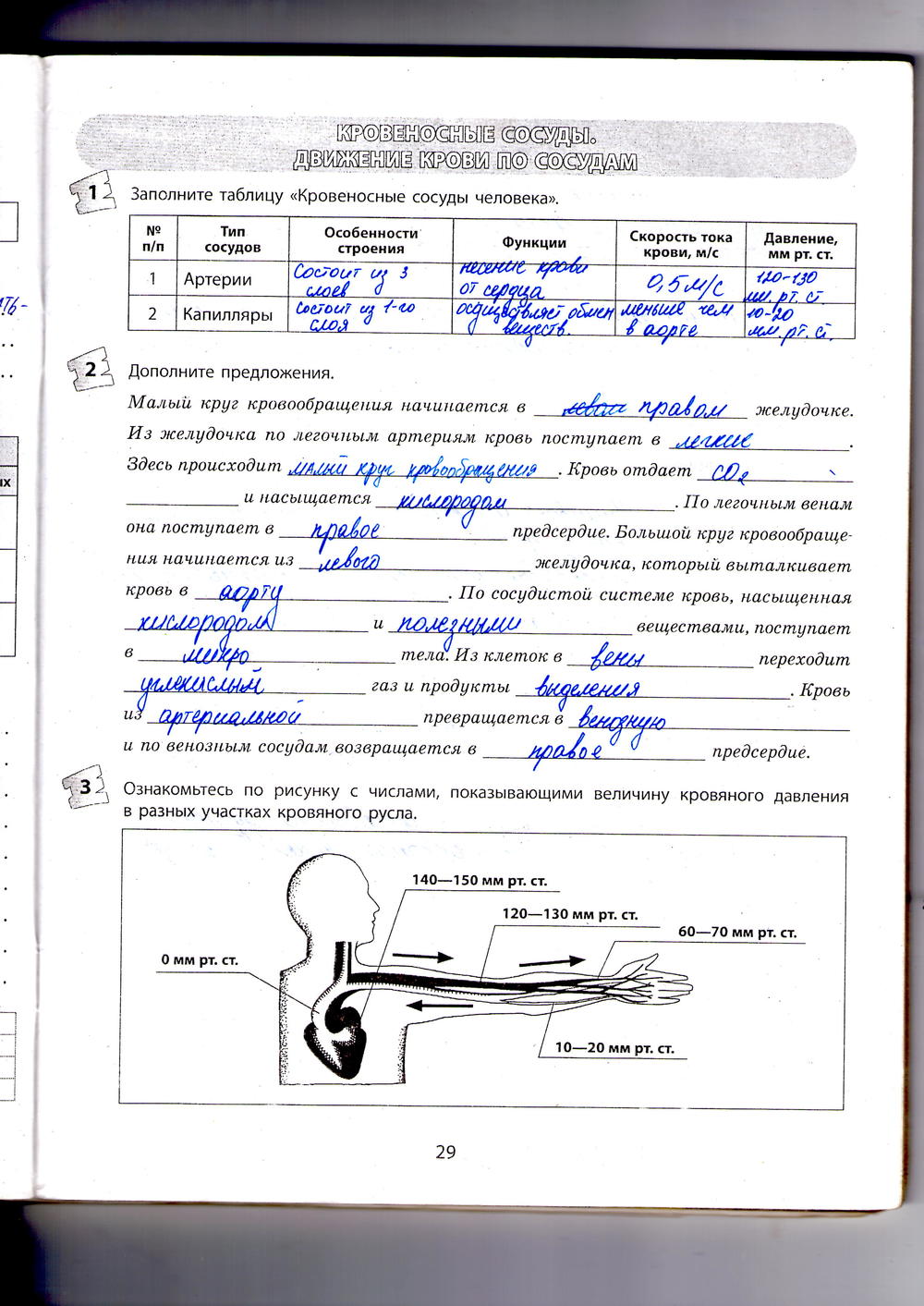 Рабочая тетрадь по биологии 9 класс Котик, Таглина Страница 29