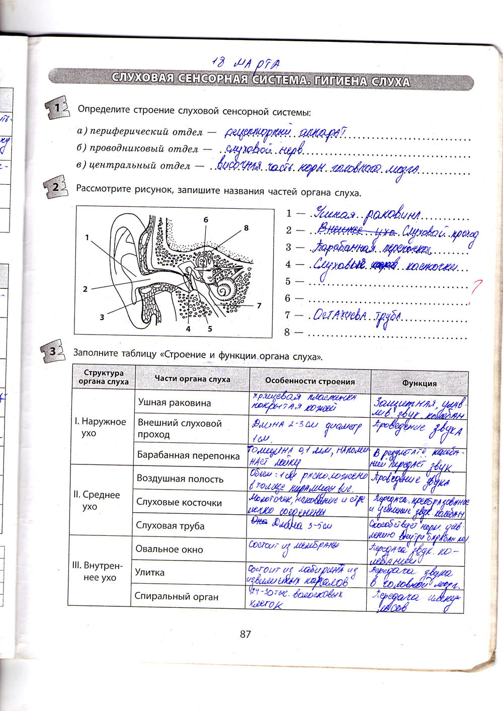 Рабочая тетрадь по биологии 9 класс Котик, Таглина Страница 87