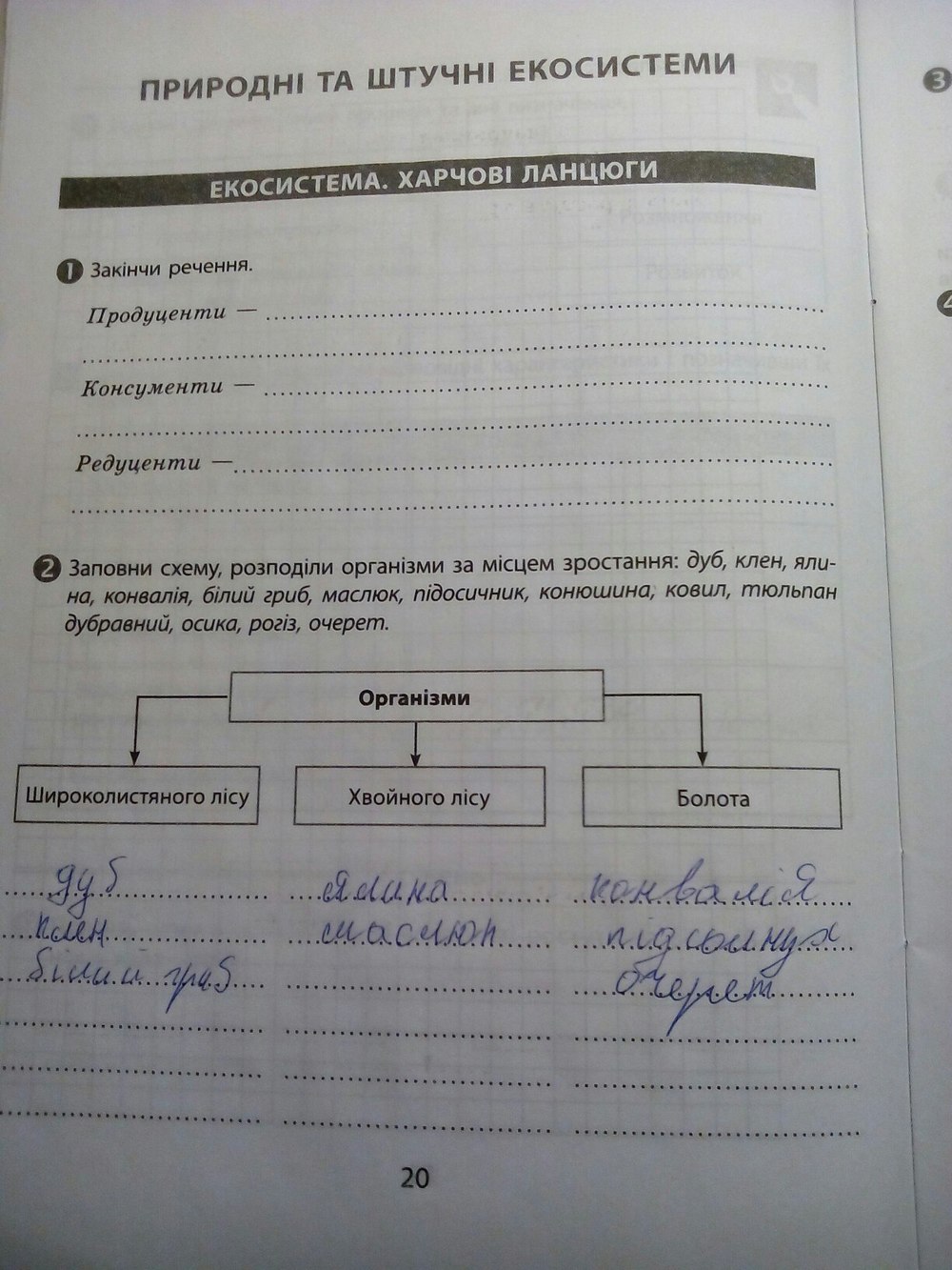 Робочий зошит з природознавства 6 клас  Страница 20