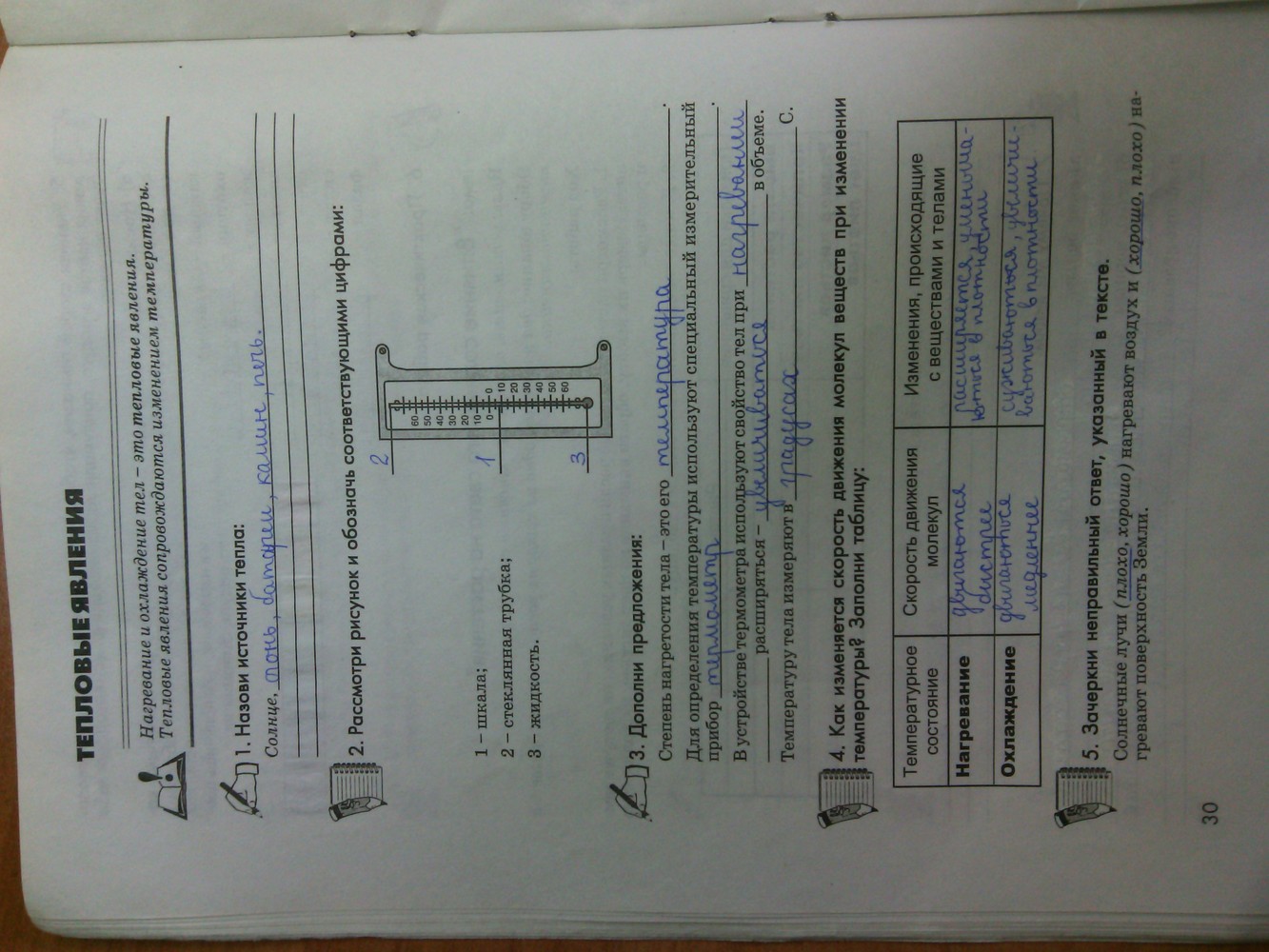 Рабочая тетрадь по природоведению 5 класс котик  Страница 30