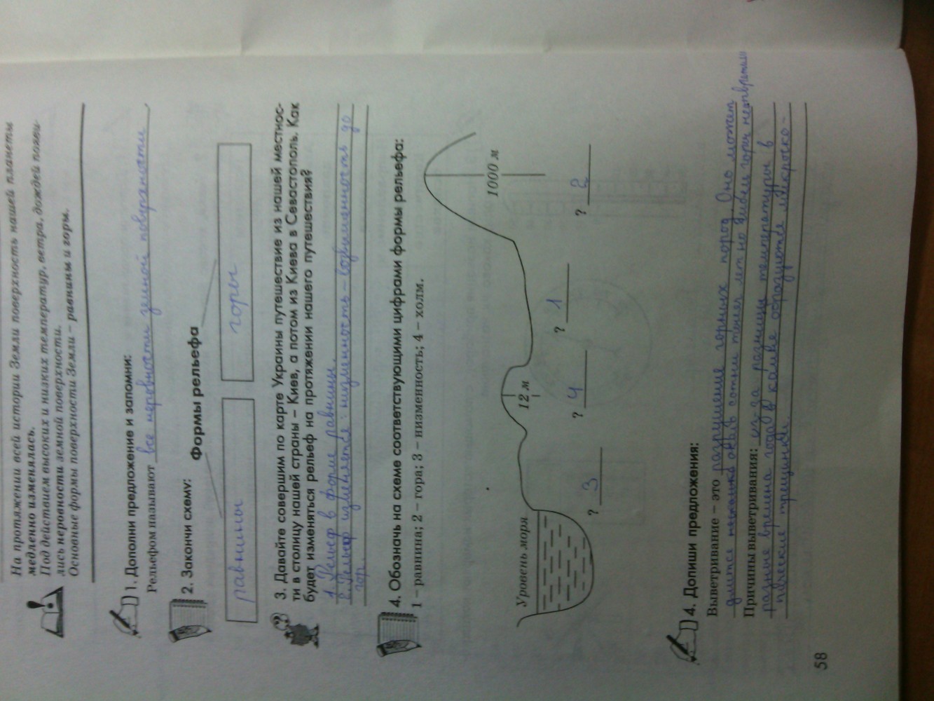 Рабочая тетрадь по природоведению 5 класс котик  Страница 58