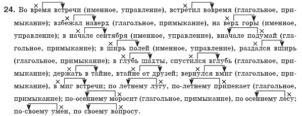 Русский язык 8 класс Рудяков А.Н., Фролова Т.Я. Задание 24