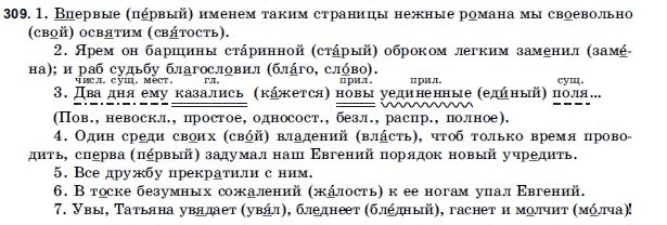 Русский язык 9 класс Голобородько Г.П. Задание 309