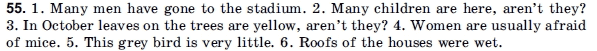 Английский язык 11 класс (для русских школ) В. М. Плахотник, Р. Ю. Мартынова Задание 55
