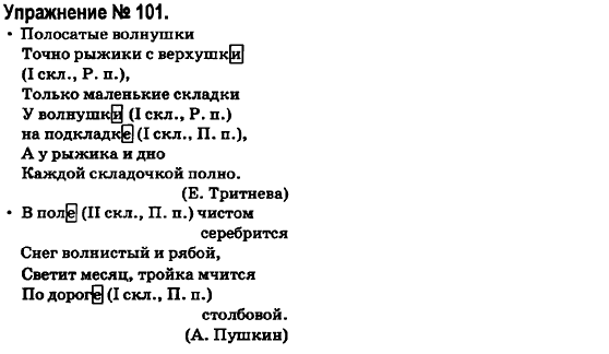 Русский язык 6 класс Быкова Е., Давидюк Л., Стативка В. Задание 101