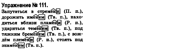 Русский язык 6 класс Быкова Е., Давидюк Л., Стативка В. Задание 111