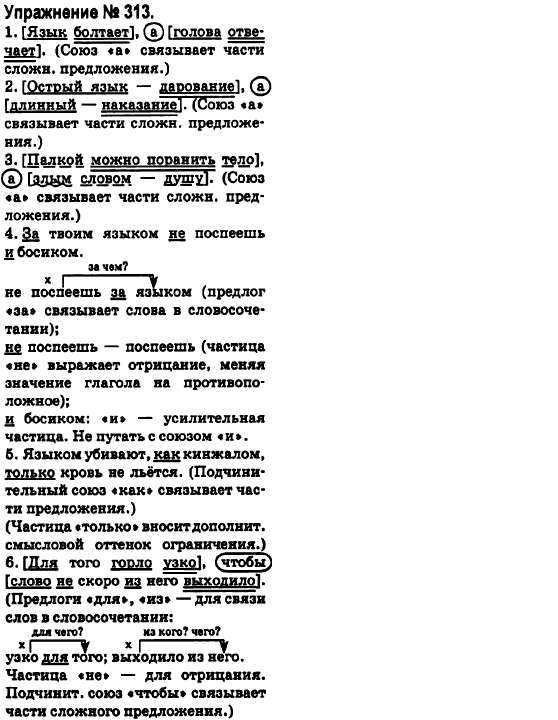 Русский язык 6 класс Быкова Е., Давидюк Л., Стативка В. Задание 313