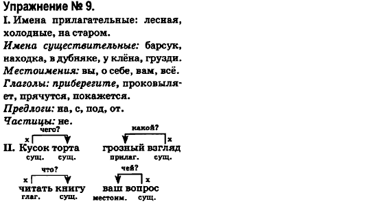 Русский язык 6 класс Быкова Е., Давидюк Л., Стативка В. Задание 9