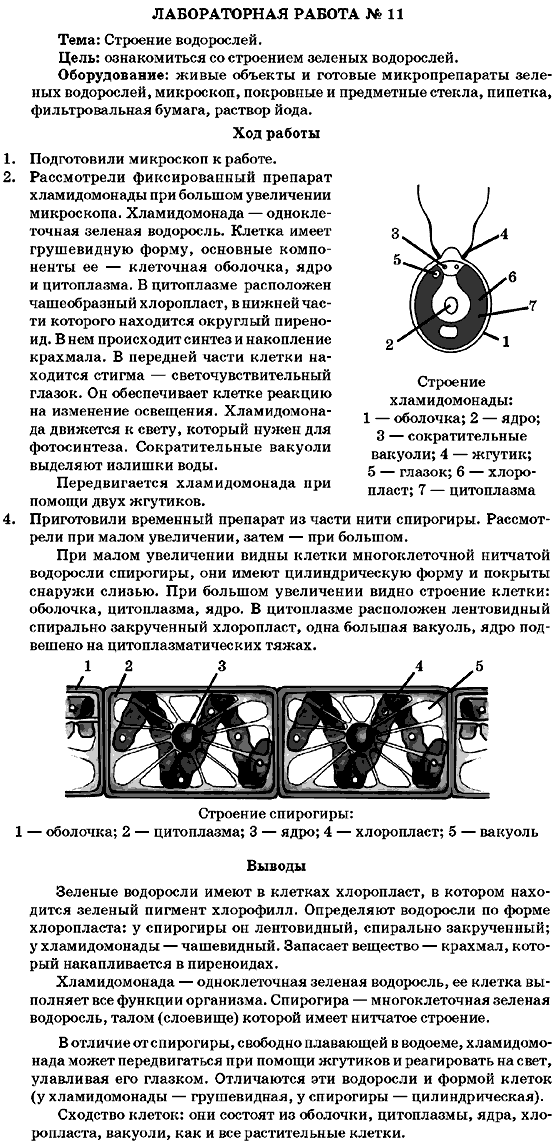 Лабораторная работа изучение строения многоклеточных. Лабораторная работа изучение зеленых водорослей. Лабораторная по биологии. Лабораторная работа по биологии 7 класс водоросли. Лабораторная работа изучение строения водорослей.