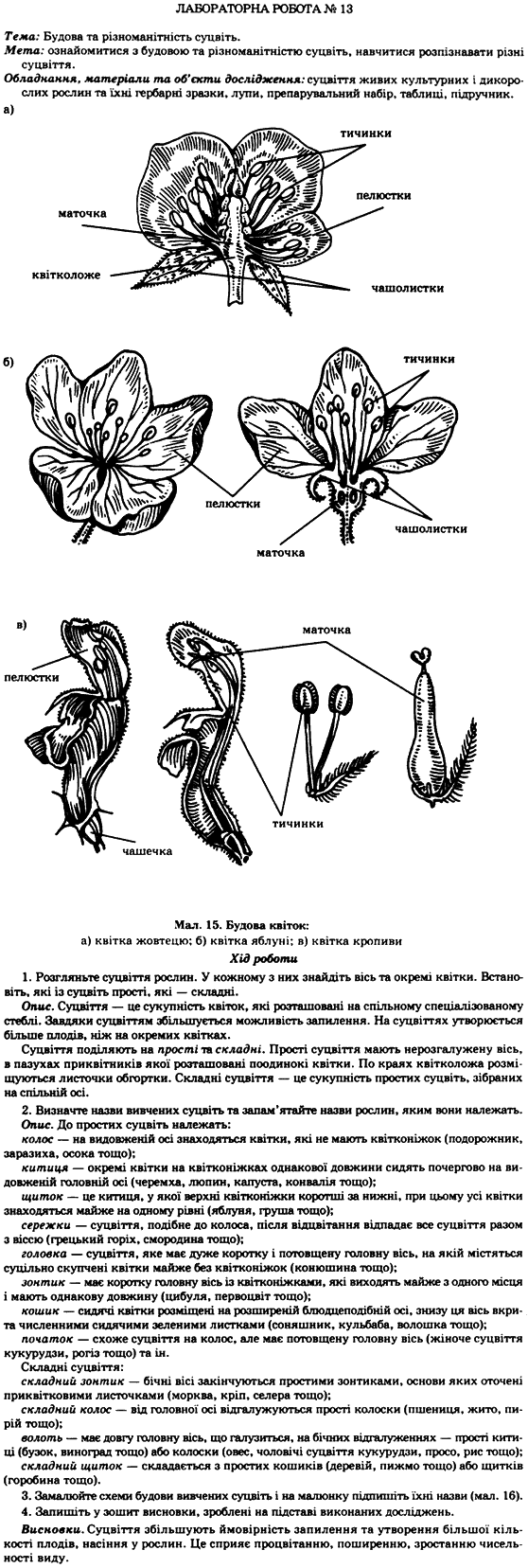 Біологія 7 клас М.М. Мусієнко, П.С. Славний, П.Г. Балан Задание 13