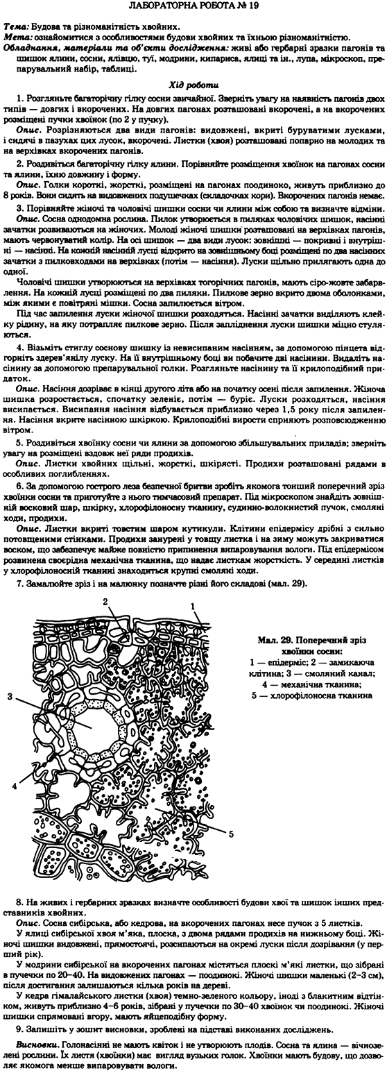 Біологія 7 клас М.М. Мусієнко, П.С. Славний, П.Г. Балан Задание 19
