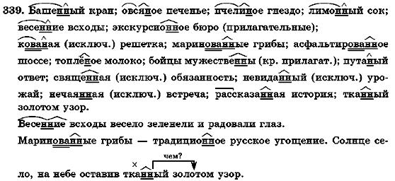 Русский язык 7 класс Михайловская Г.А., Пашковская Н.А., Корсаков В.А., Барабашова Е.В. Задание 339