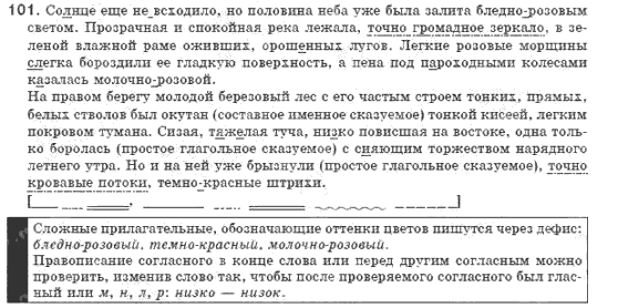 Русский язык 8 класс Быкова Е.И., Давыдюк Л.В., Стативка В.И. Задание 101