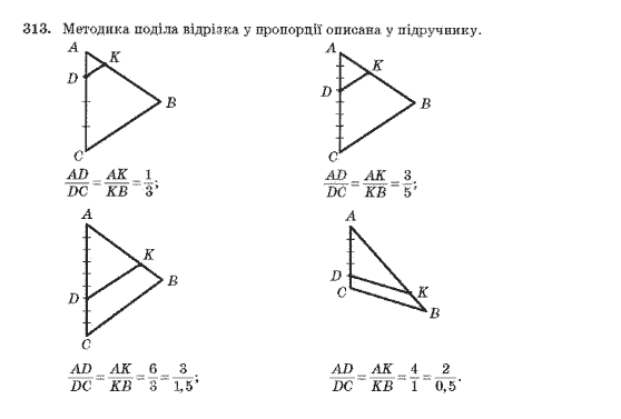Геометрія 10 клас Бурда М.І., Тарасенкова Н.А. Задание 313