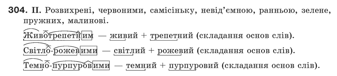 Рідна мова 6 клас М. І. Пентилюк, І. В. Гайдаєнко Задание 304