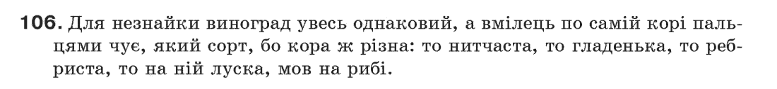 Рідна мова 6 клас С.Я. Єрмоленко, В.Т. Сичова Задание 106