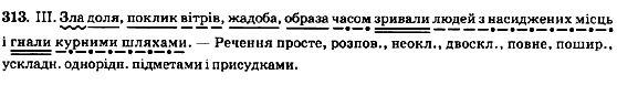 Рідна мова 8 клас М.І. Пентилюк, В.В. Гайдаєнко, А.І. Ляшкевич Задание 313